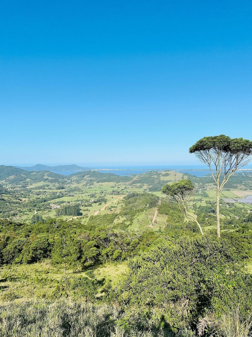 Terreno, 2 hectares - Foto 19