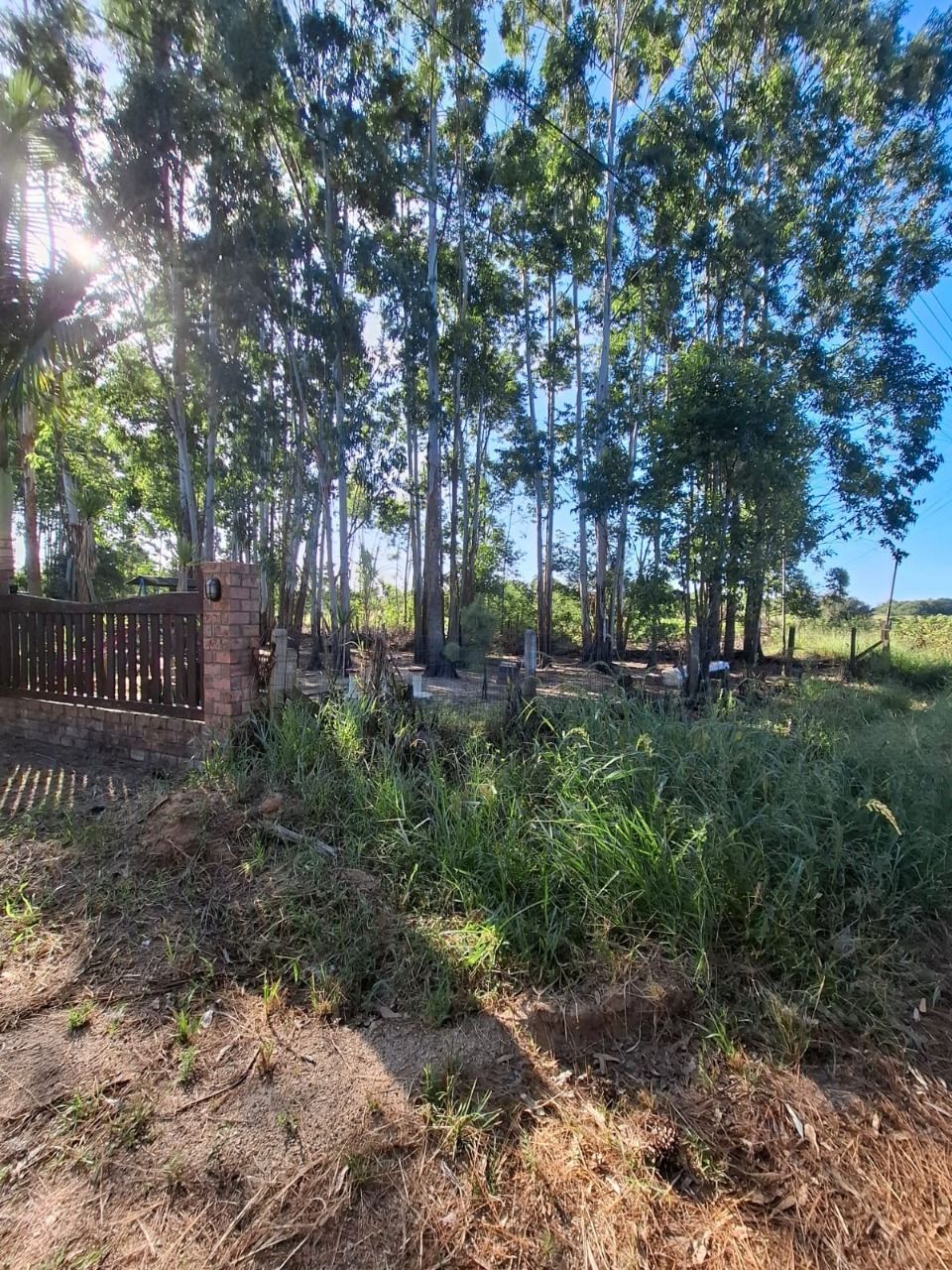 Sítio à venda com 4 quartos, 91m² - Foto 4