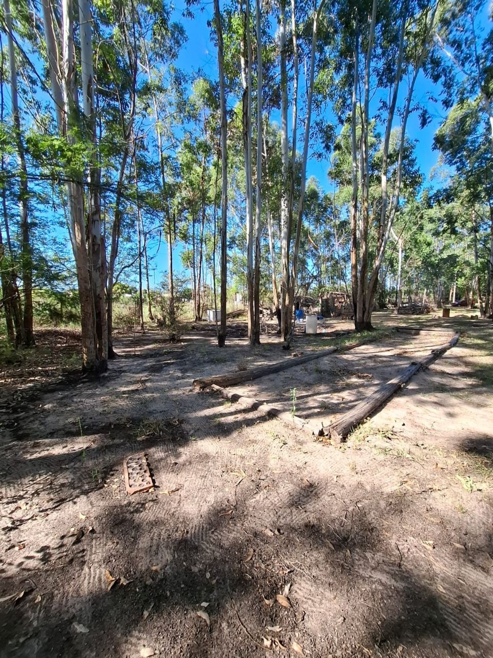 Sítio à venda com 4 quartos, 91m² - Foto 52