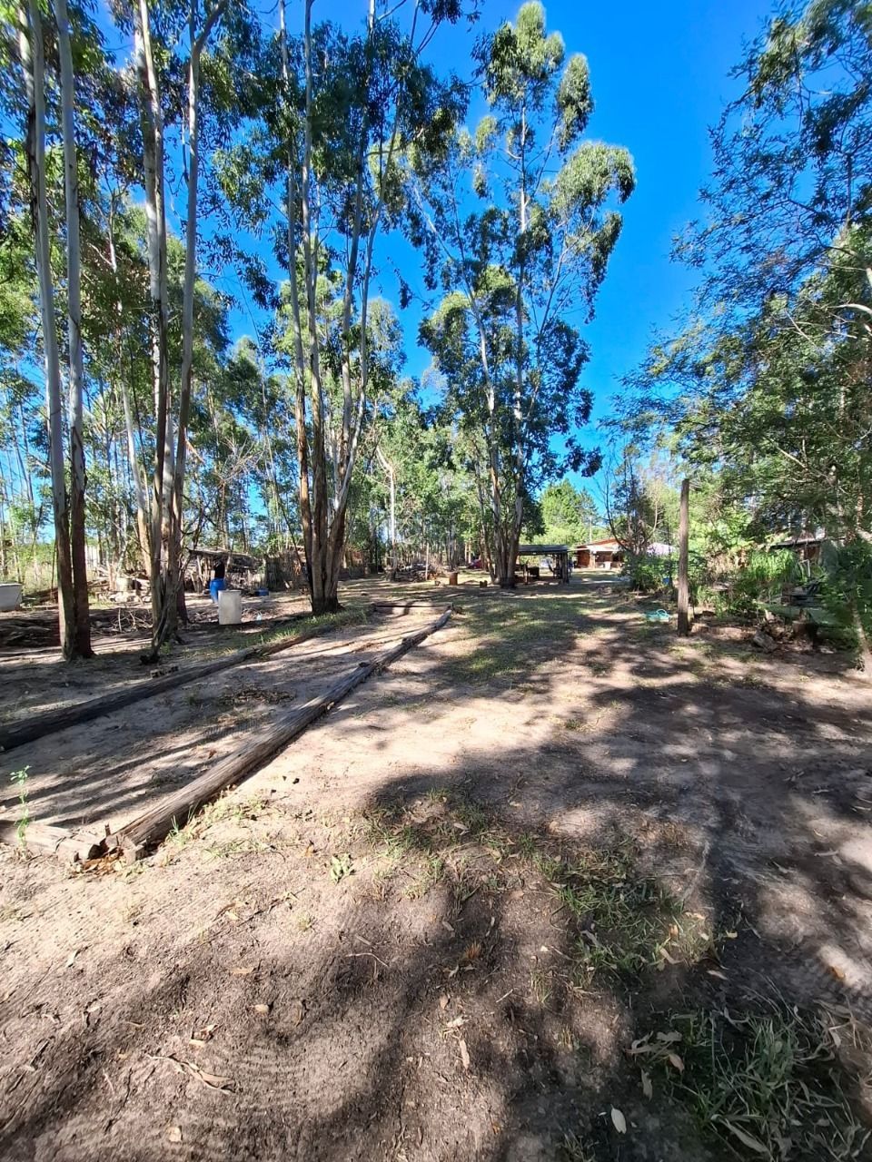 Sítio à venda com 4 quartos, 91m² - Foto 51