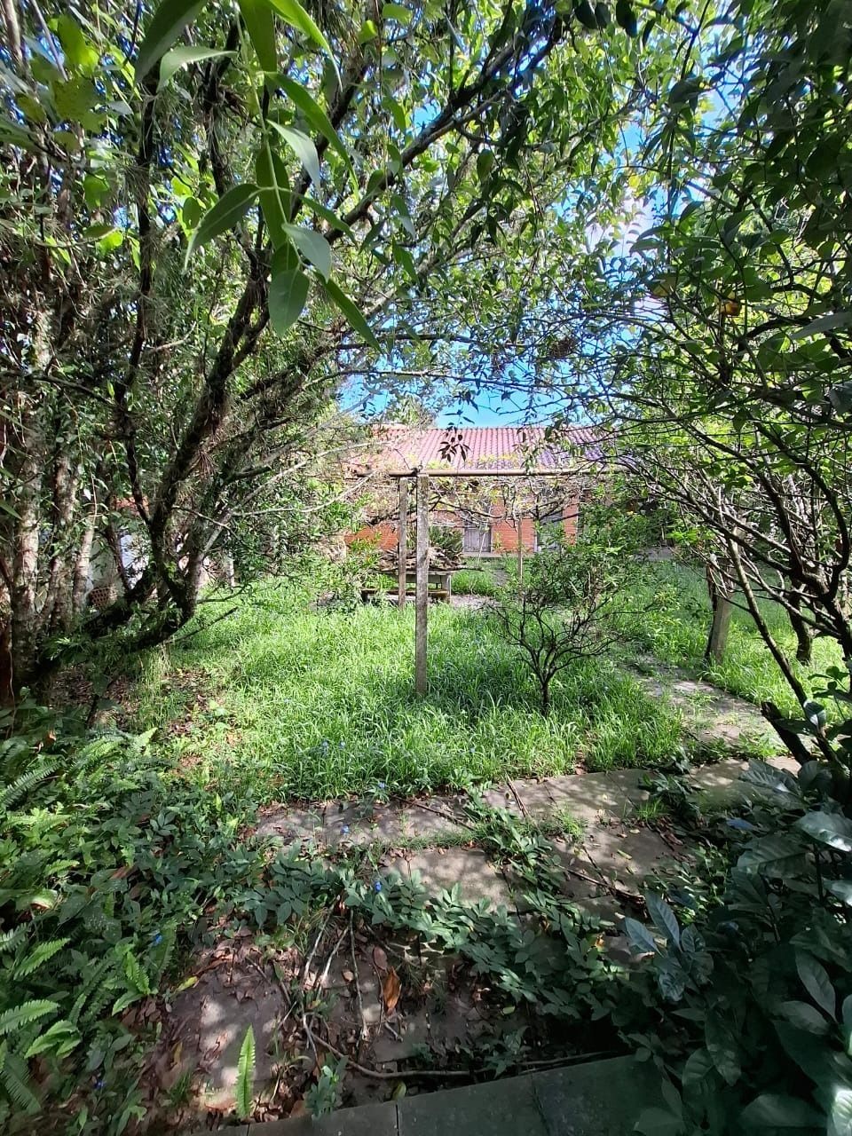 Casa à venda com 4 quartos, 250m² - Foto 15