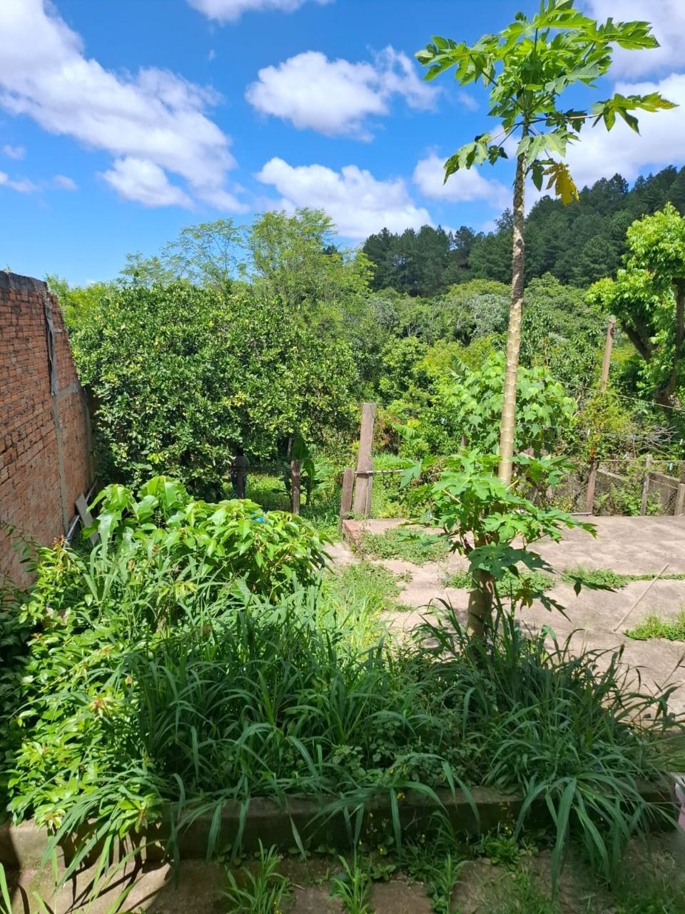 Casa à venda com 4 quartos, 150m² - Foto 25