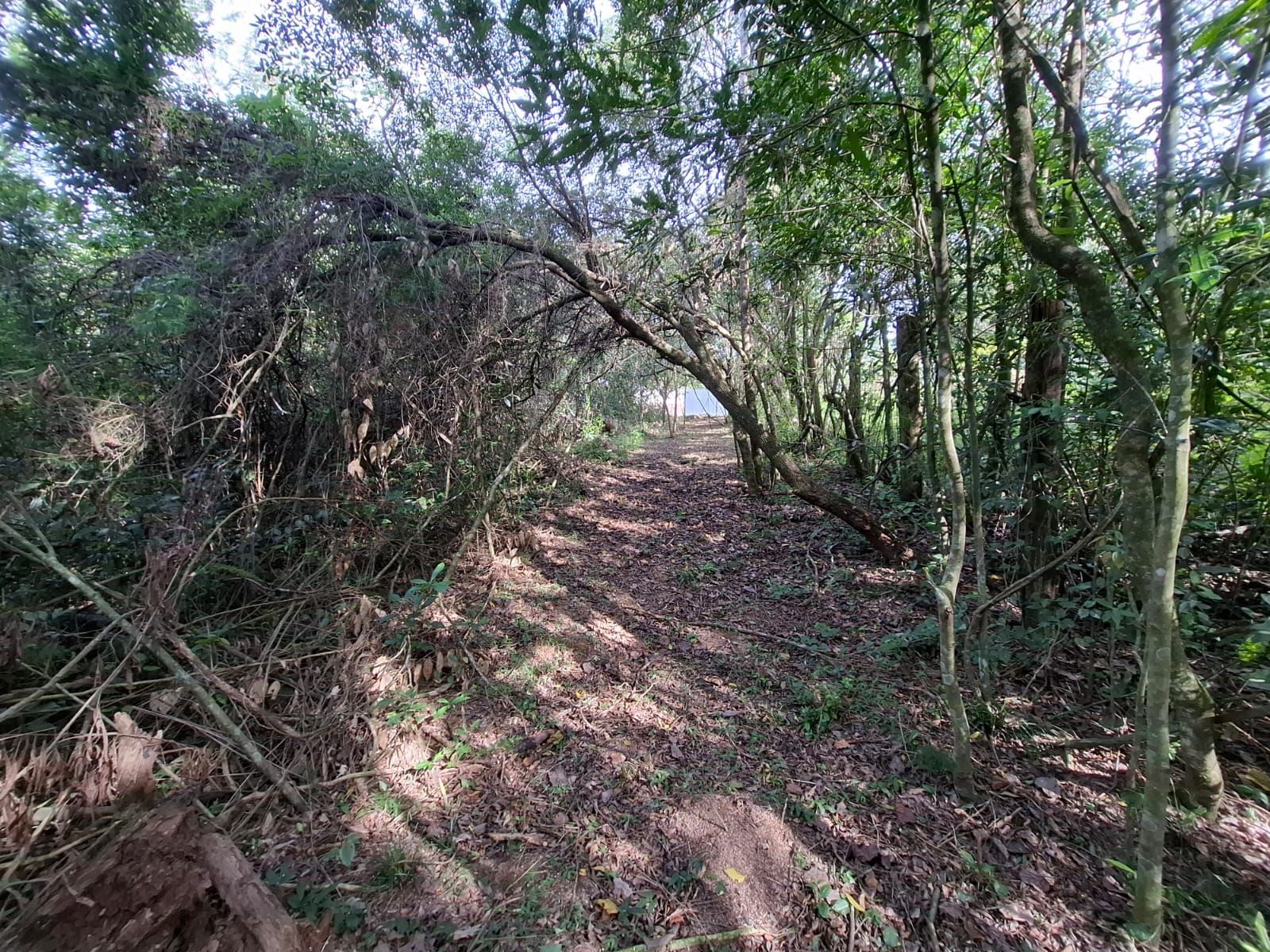 Terreno, 1 m² - Foto 5