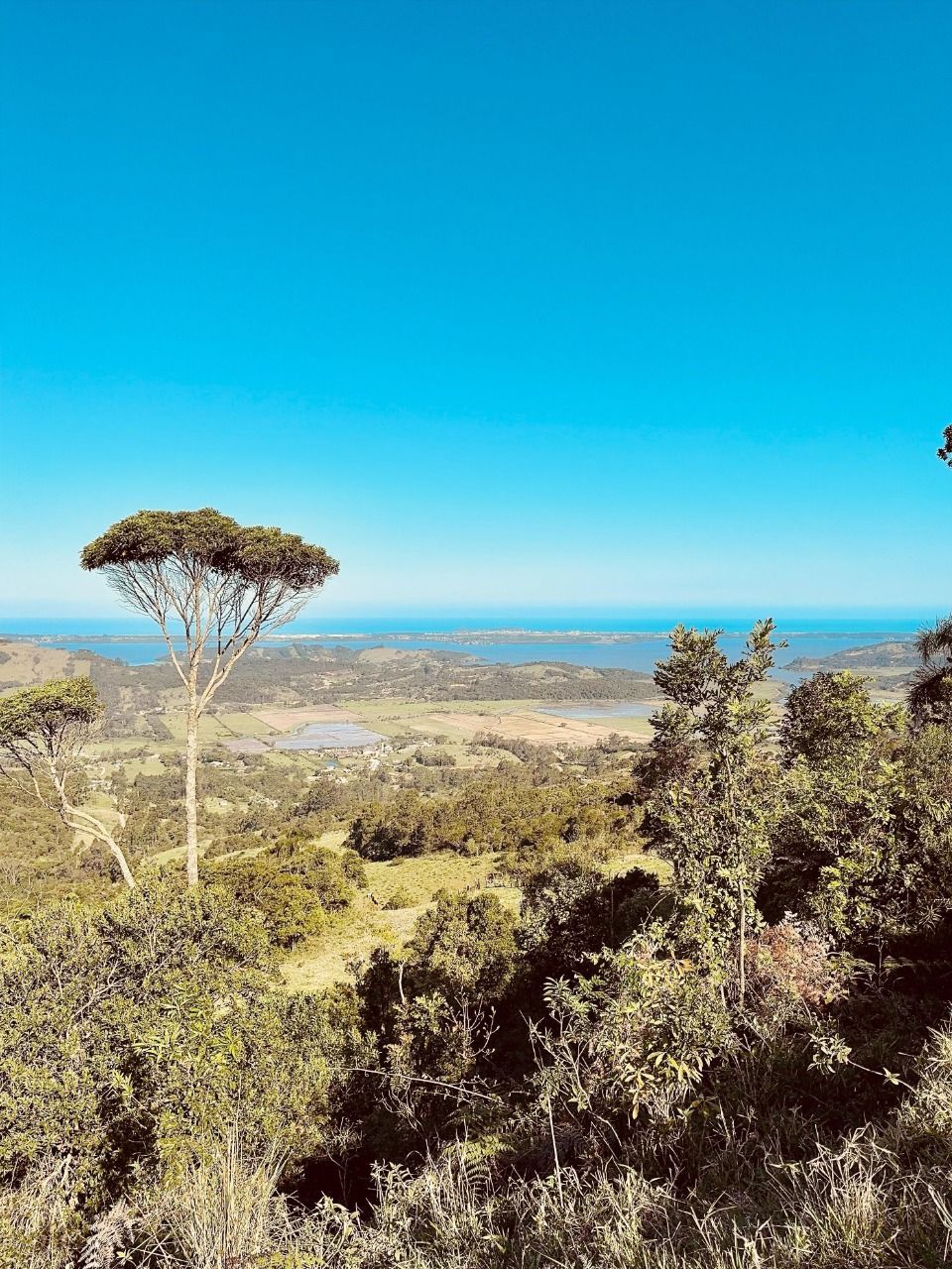 Terreno, 2 hectares - Foto 20