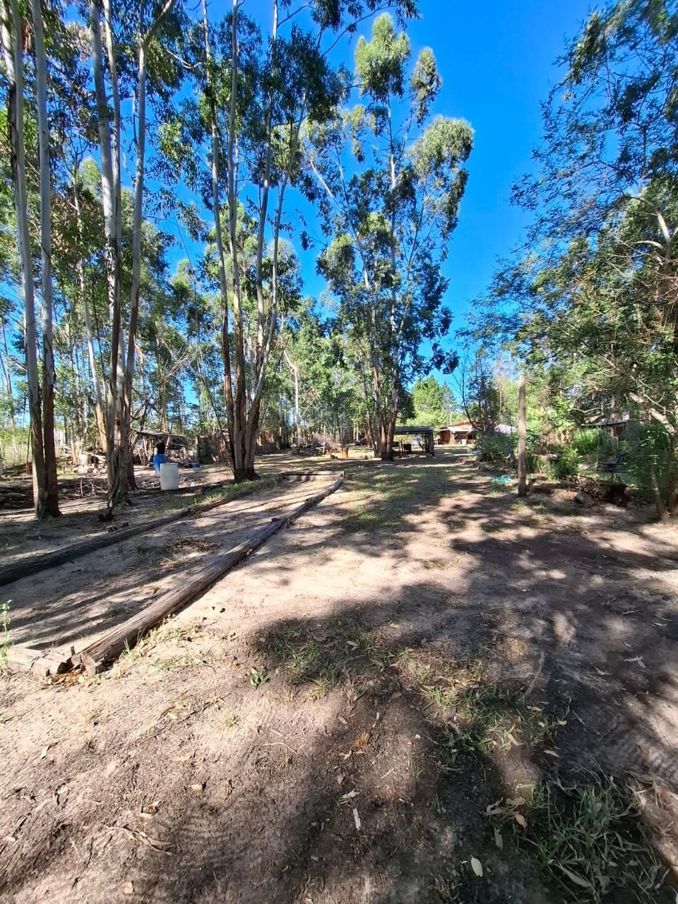Sítio à venda com 4 quartos, 91m² - Foto 49