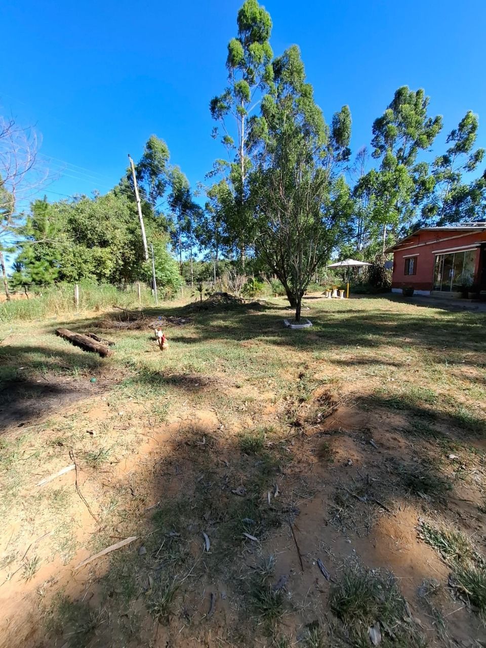 Sítio à venda com 4 quartos, 91m² - Foto 12