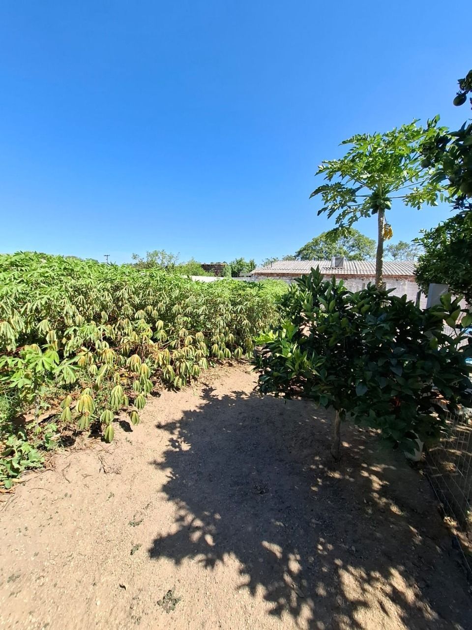 Casa, 2 quartos, 250 m² - Foto 36