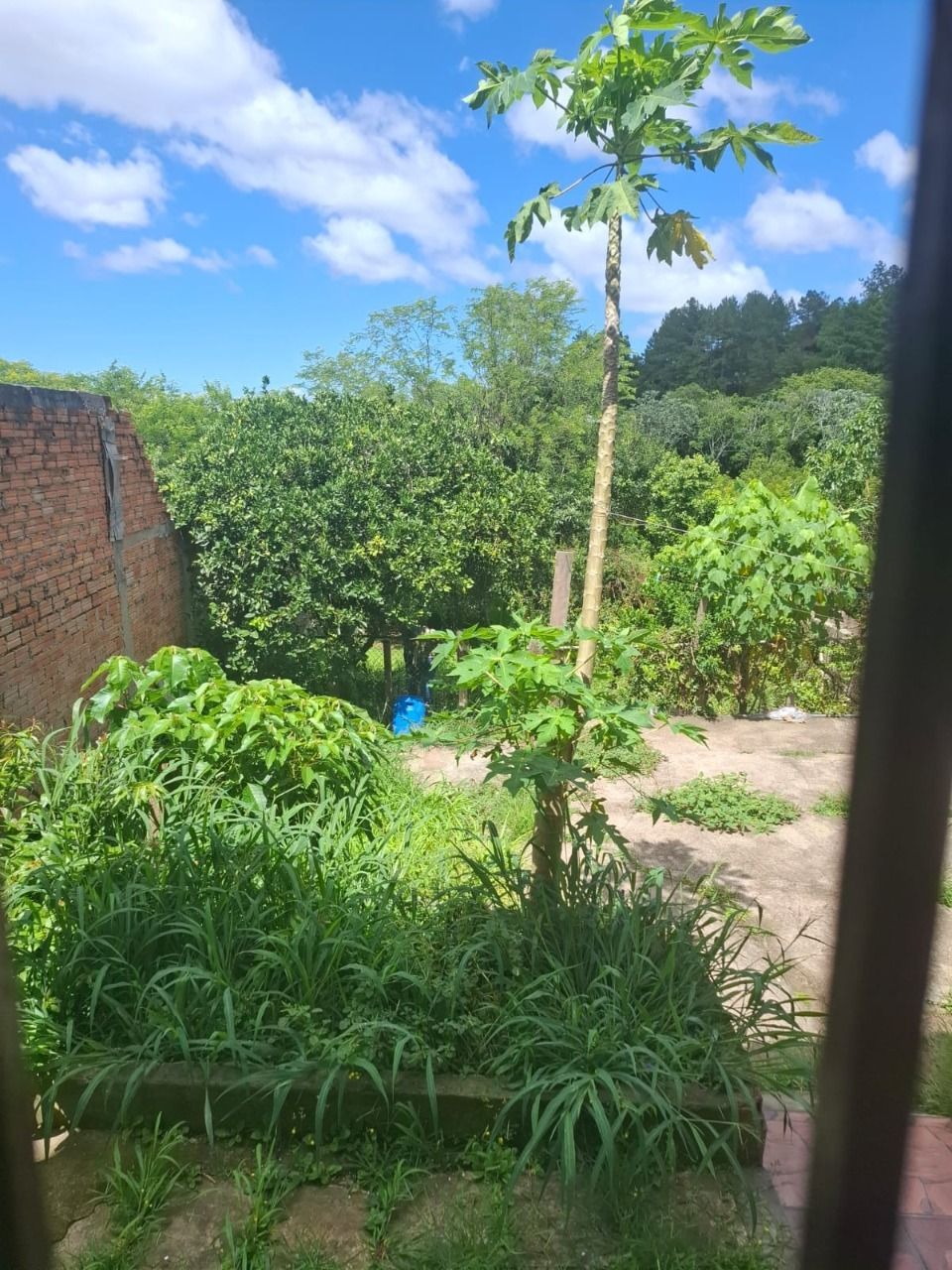 Casa à venda com 4 quartos, 150m² - Foto 26