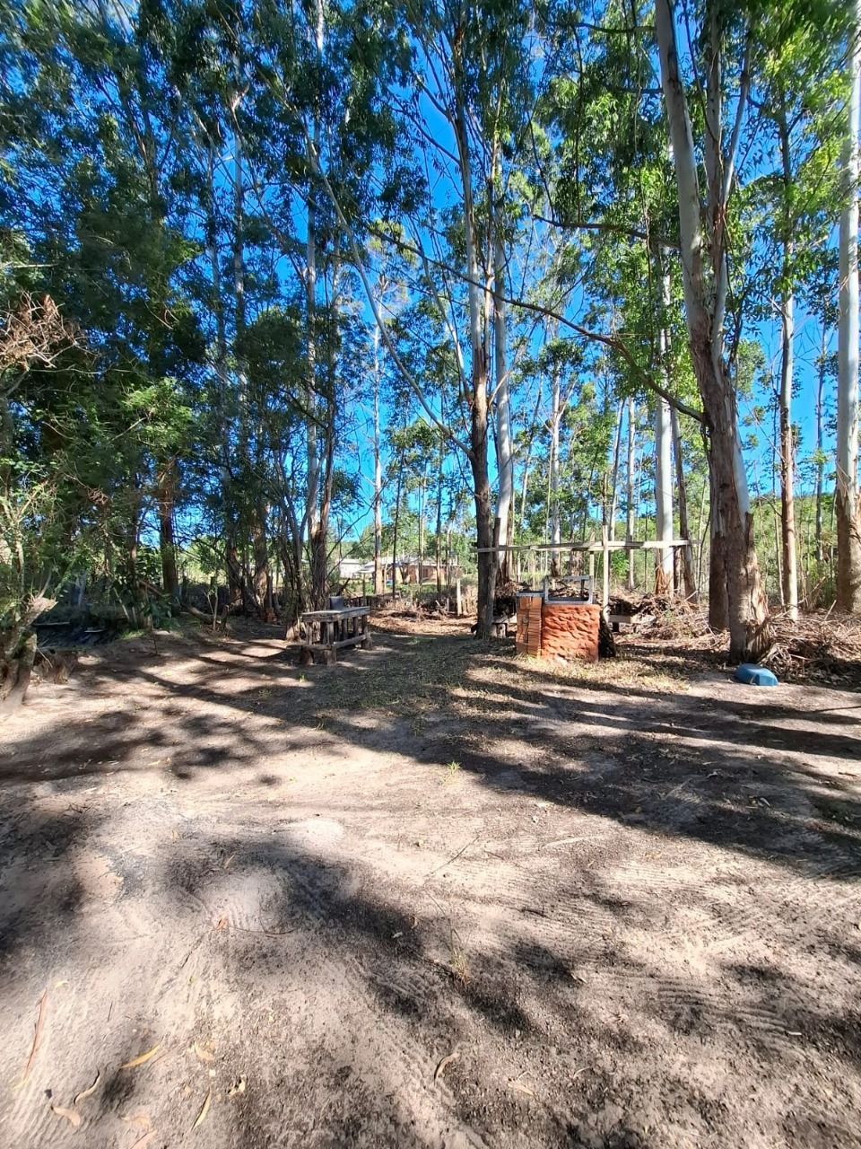 Sítio à venda com 4 quartos, 91m² - Foto 50