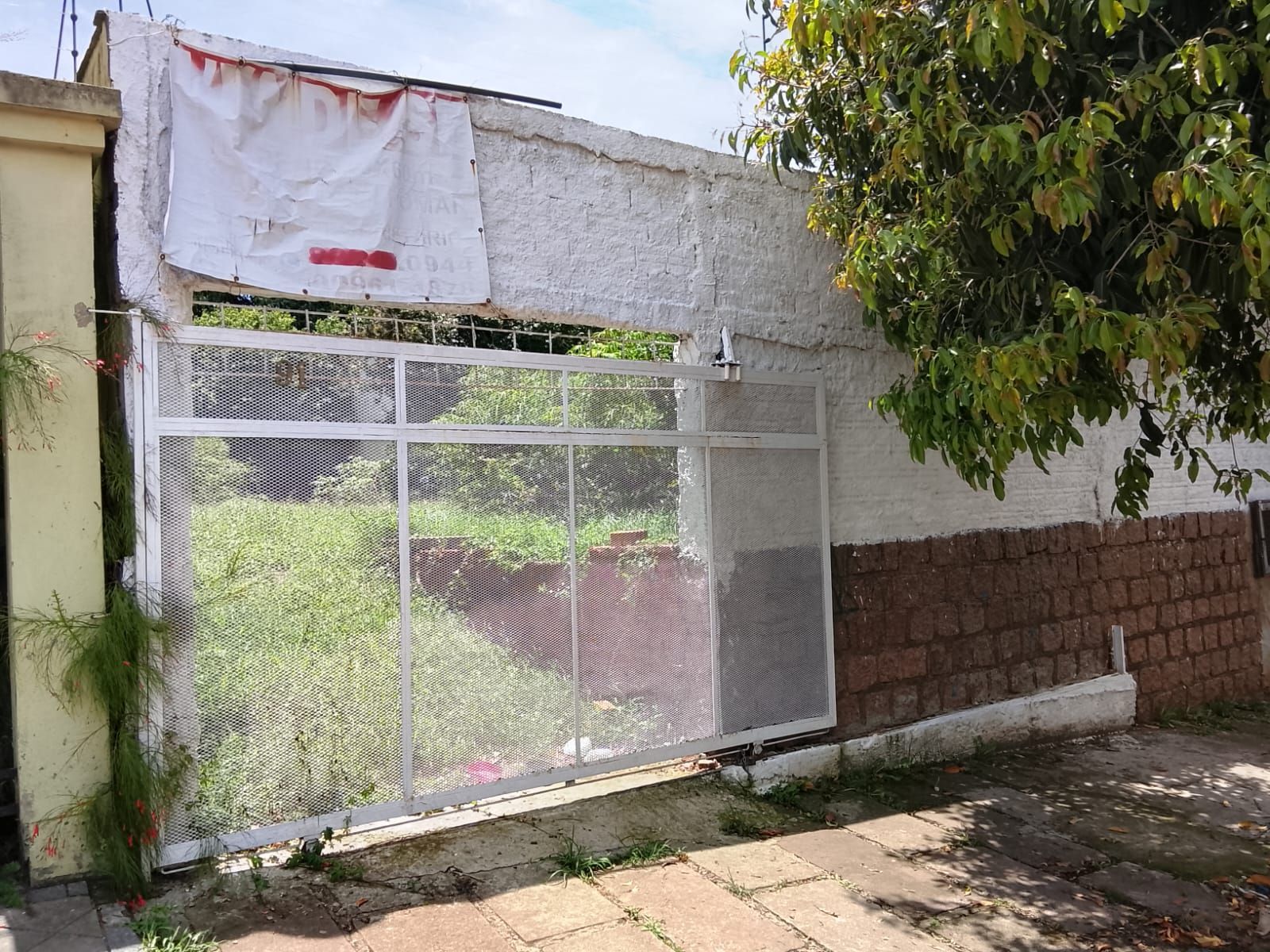 Excelente terreno gramado com árvores frutíferas e edícula nos fundos.