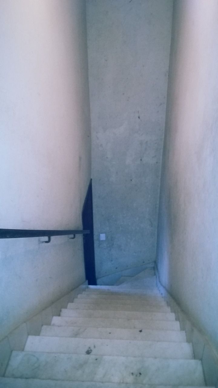 Casa, 4 quartos, 502 m² - Foto 26