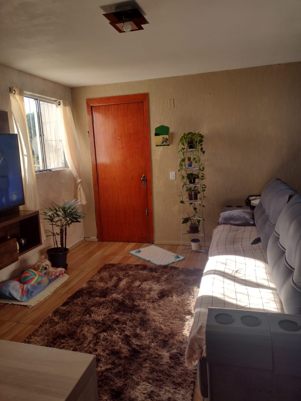 Apartamento à venda com 2 quartos, 43m² - Foto 4