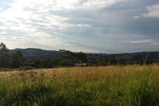 Terreno, 1 hectares - Foto 4