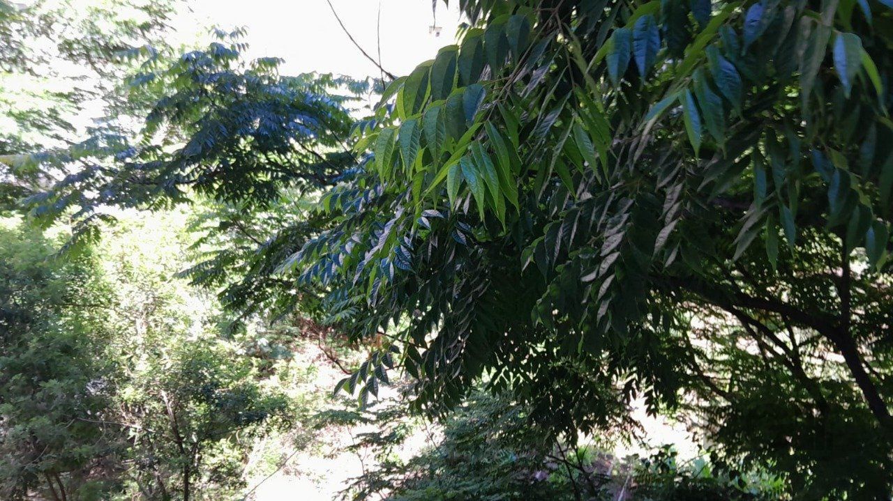 Apartamento, 1 quarto, 59 m² - Foto 14