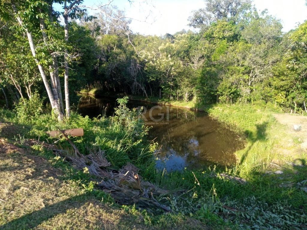 Sítio à venda com 14 quartos, 36841m² - Foto 95