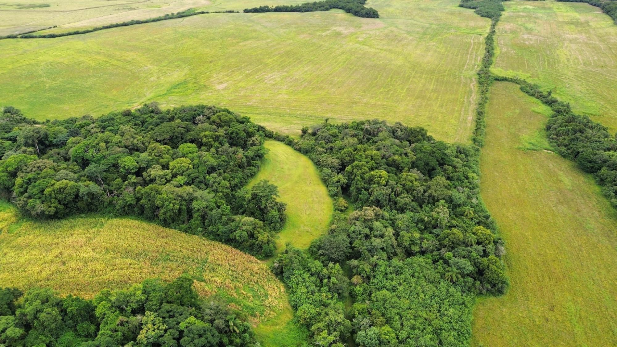 Fazenda à venda com 3 quartos, 500m² - Foto 40