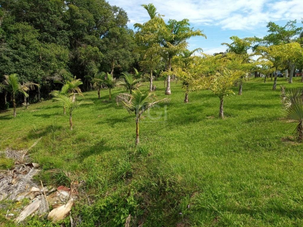 Sítio à venda com 14 quartos, 36841m² - Foto 44