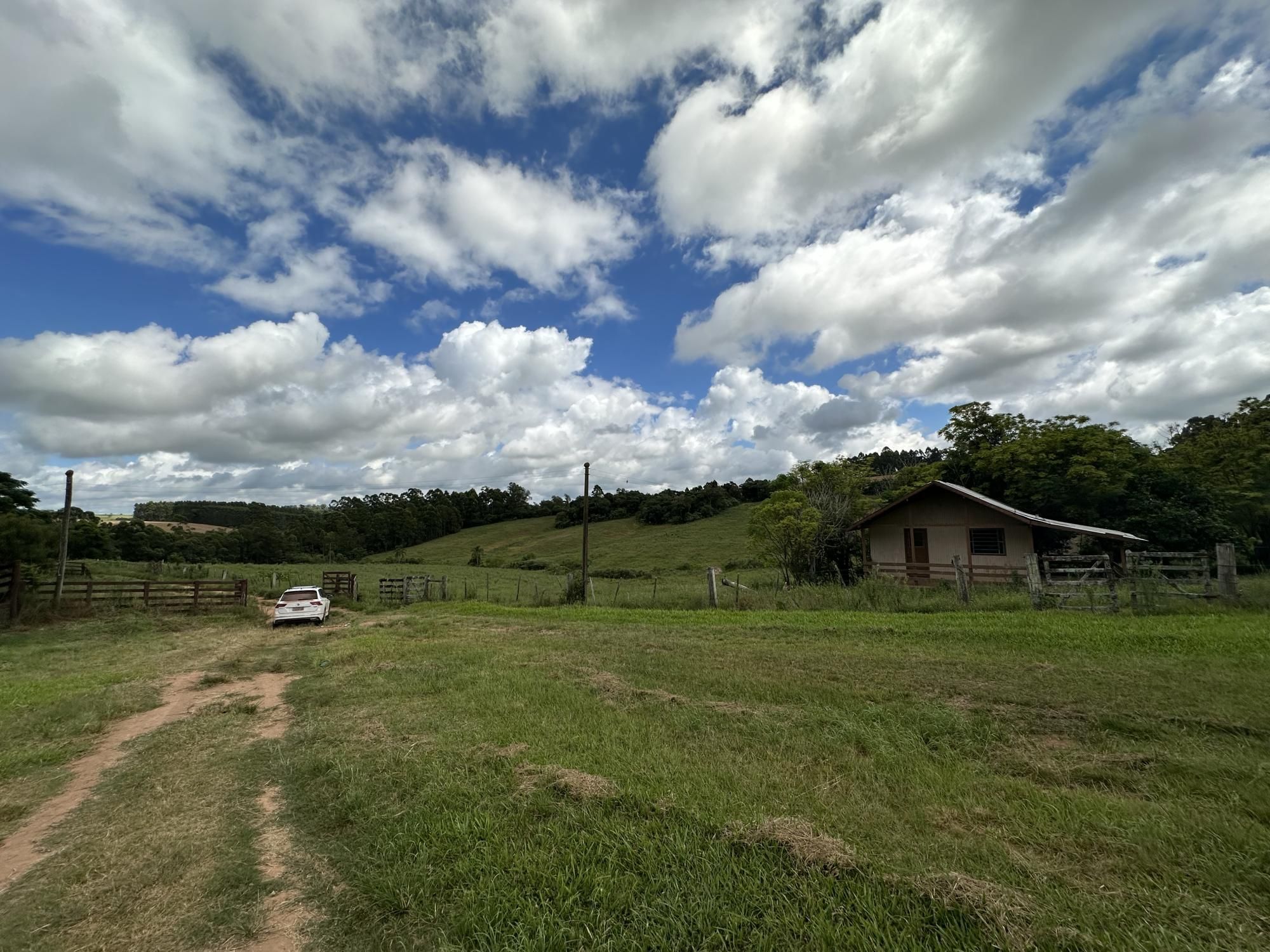 Fazenda à venda com 3 quartos, 500m² - Foto 22