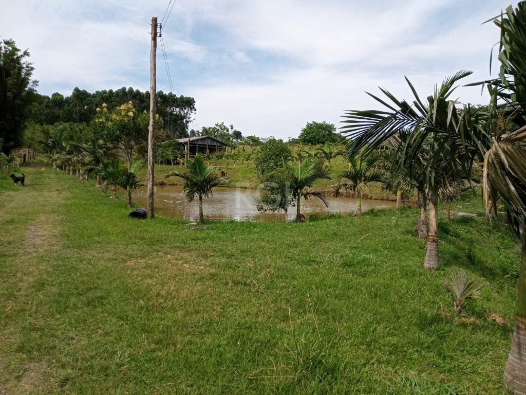 Sítio à venda com 14 quartos, 36841m² - Foto 7