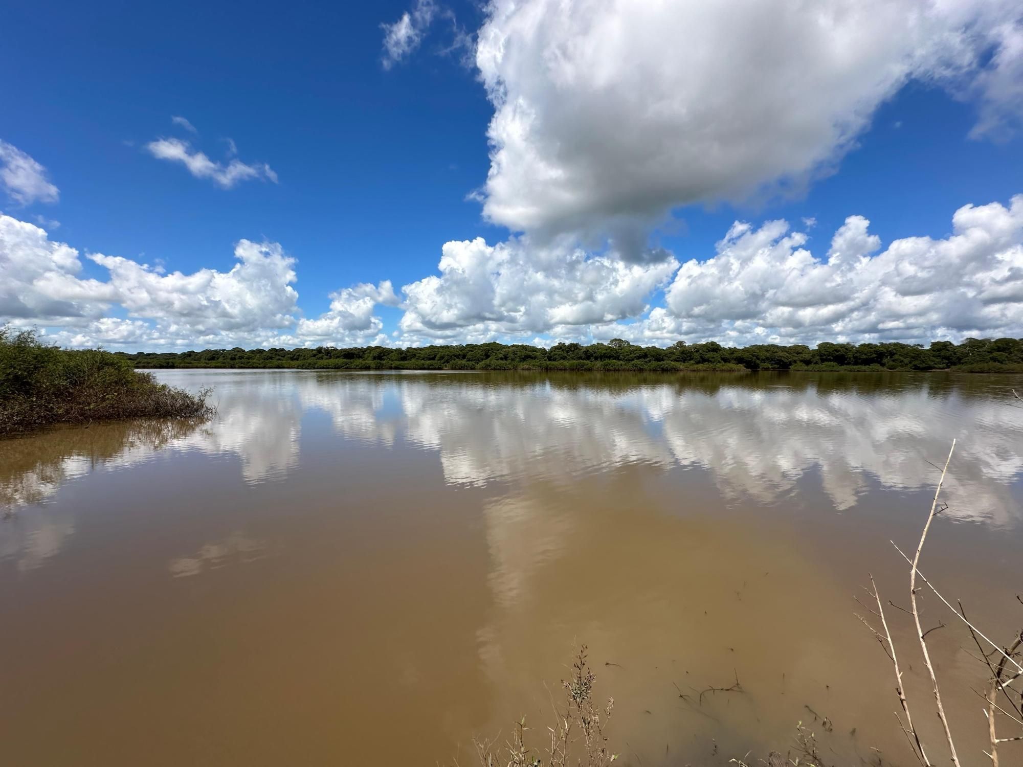 Fazenda à venda com 3 quartos, 500m² - Foto 33