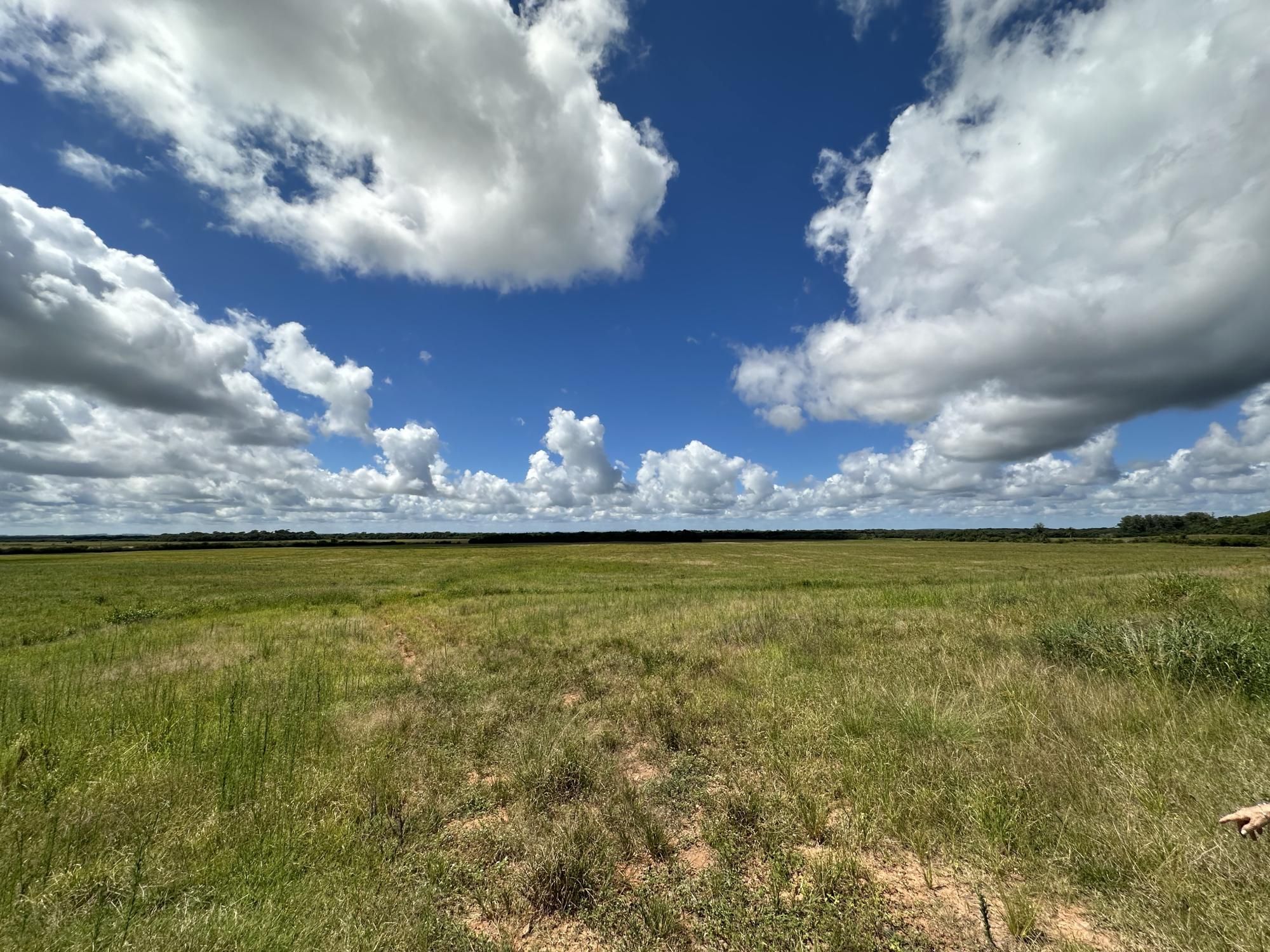 Fazenda à venda com 3 quartos, 500m² - Foto 31
