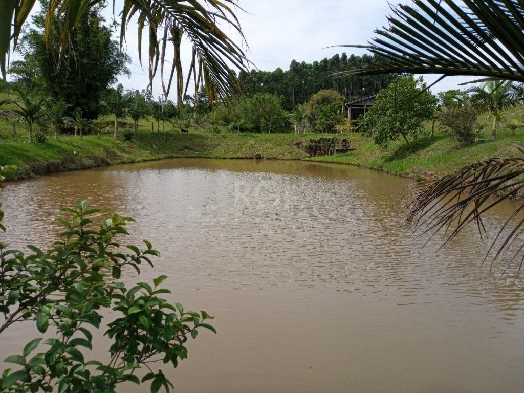 Sítio à venda com 14 quartos, 36841m² - Foto 9