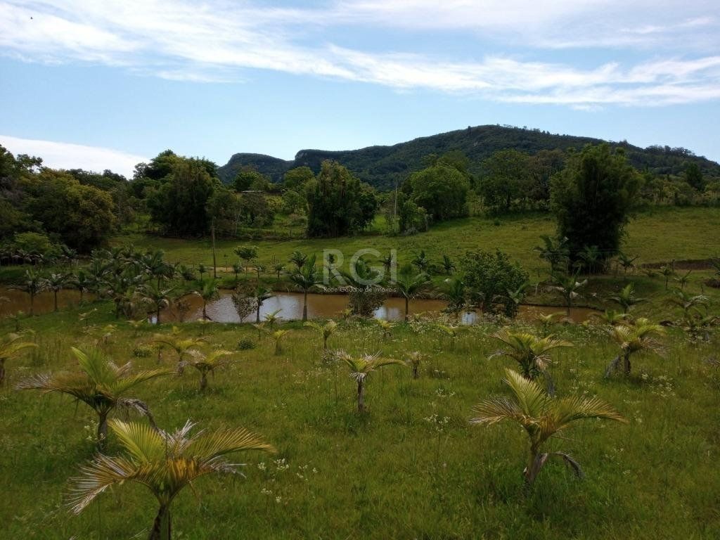 Sítio à venda com 14 quartos, 36841m² - Foto 15