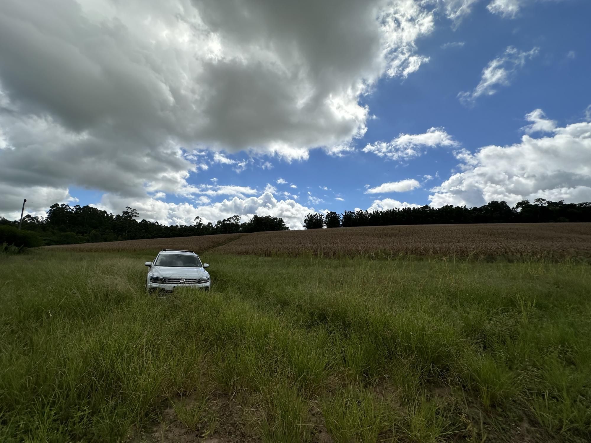 Fazenda à venda com 3 quartos, 500m² - Foto 30