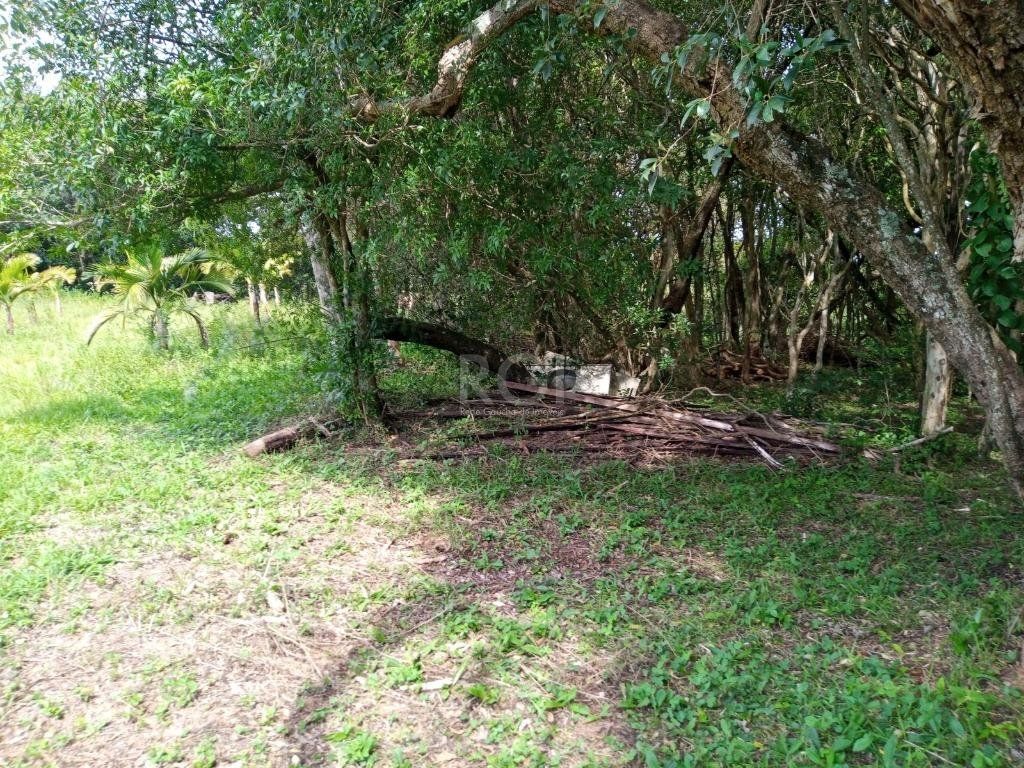 Sítio à venda com 14 quartos, 36841m² - Foto 30