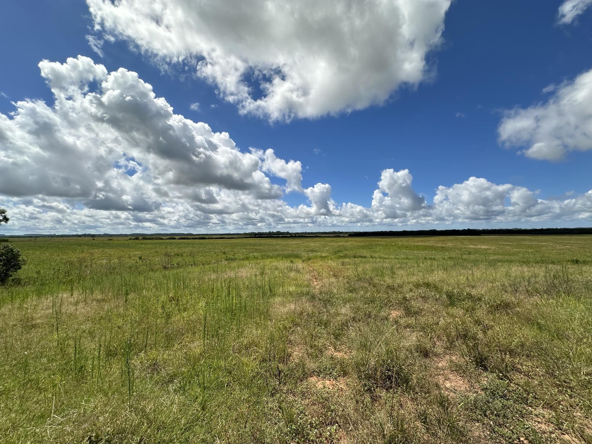 Fazenda à venda com 3 quartos, 500m² - Foto 11