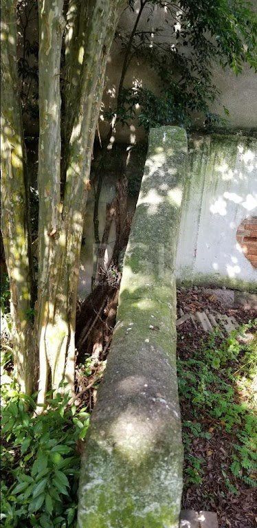 Terreno à venda, 731m² - Foto 13