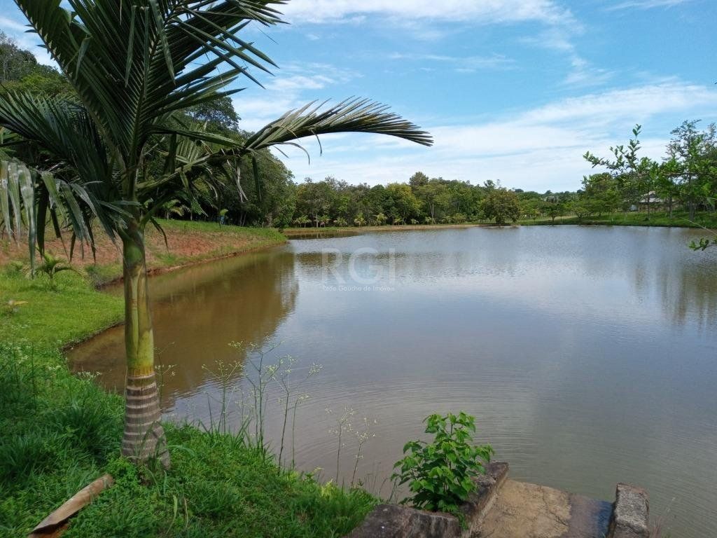 Sítio à venda com 14 quartos, 36841m² - Foto 8