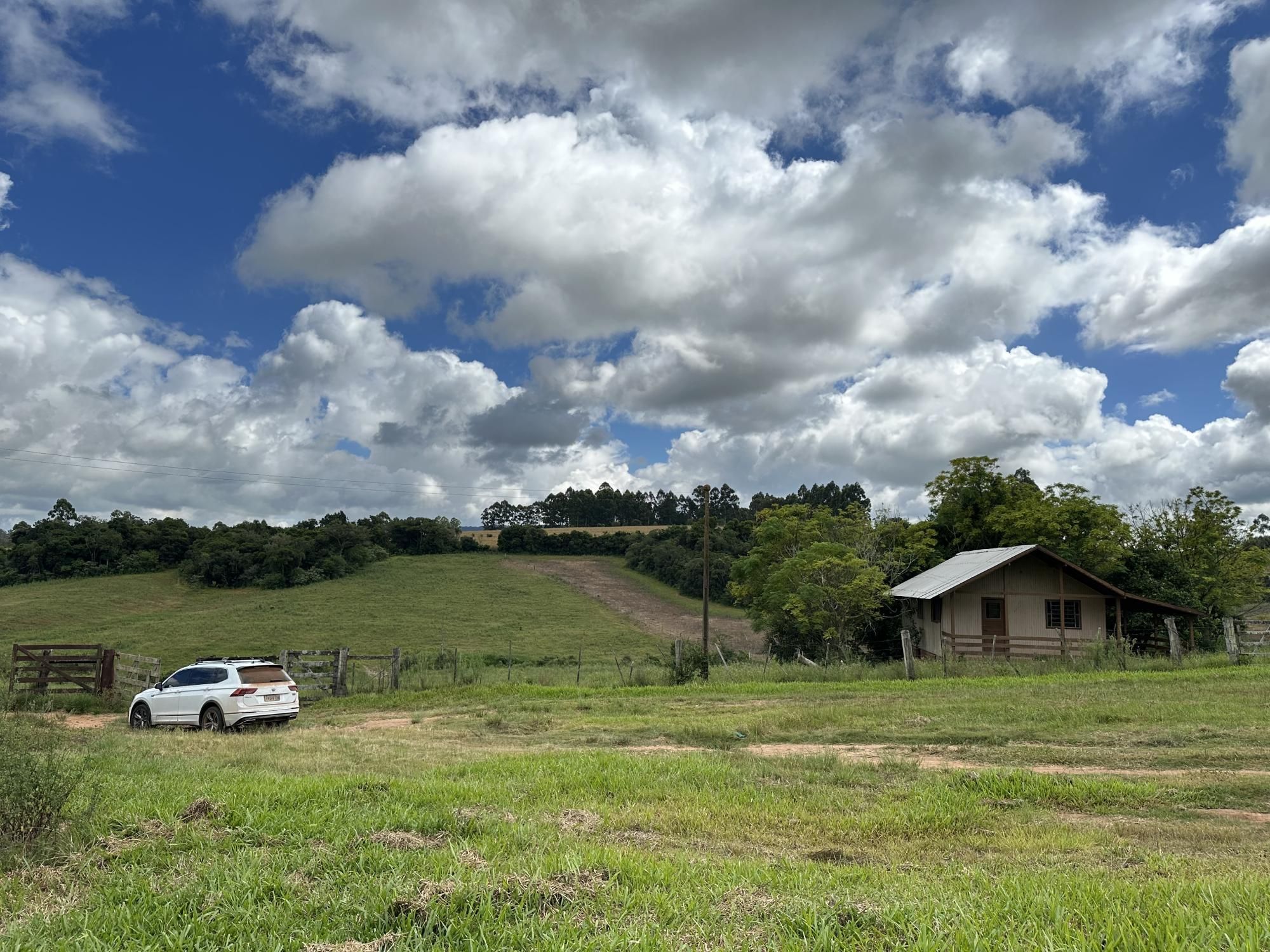 Fazenda à venda com 3 quartos, 500m² - Foto 23