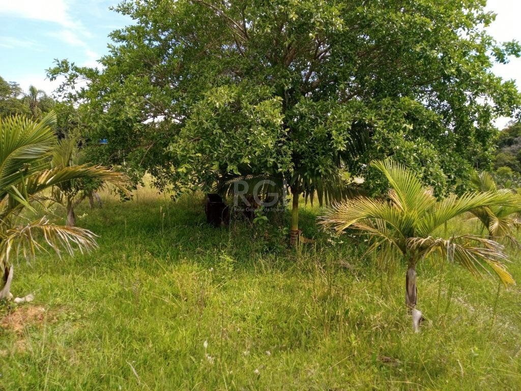 Sítio à venda com 14 quartos, 36841m² - Foto 19