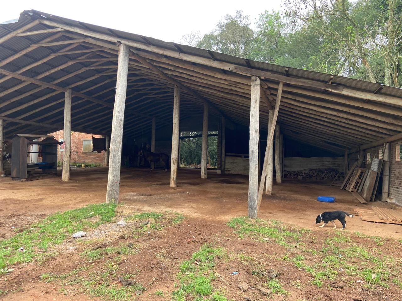 Fazenda à venda com 3 quartos, 500m² - Foto 8