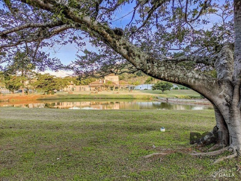 Terreno, 742 m² - Foto 6