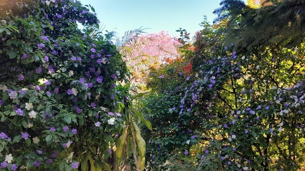 Casa, 6 quartos, 570 m² - Foto 5