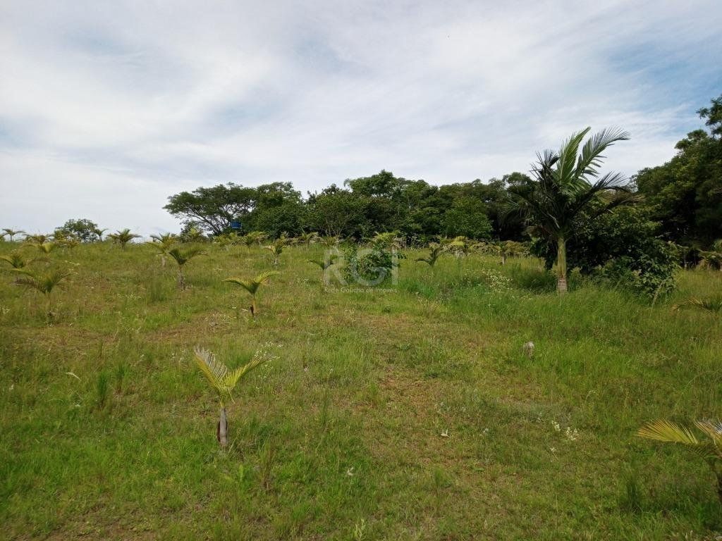 Sítio à venda com 14 quartos, 36841m² - Foto 11