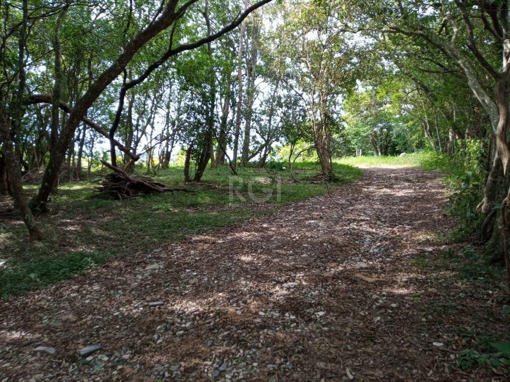 Sítio à venda com 14 quartos, 36841m² - Foto 32
