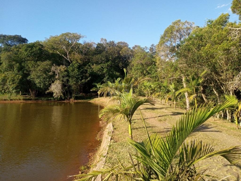 Sítio à venda com 14 quartos, 36841m² - Foto 101