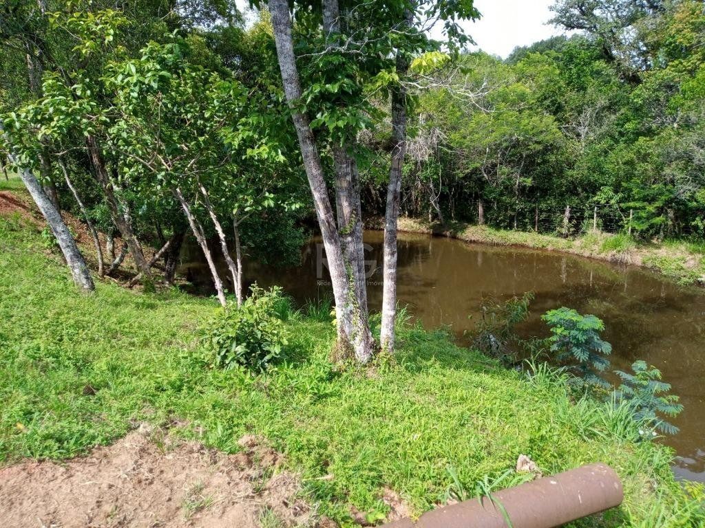 Sítio à venda com 14 quartos, 36841m² - Foto 43