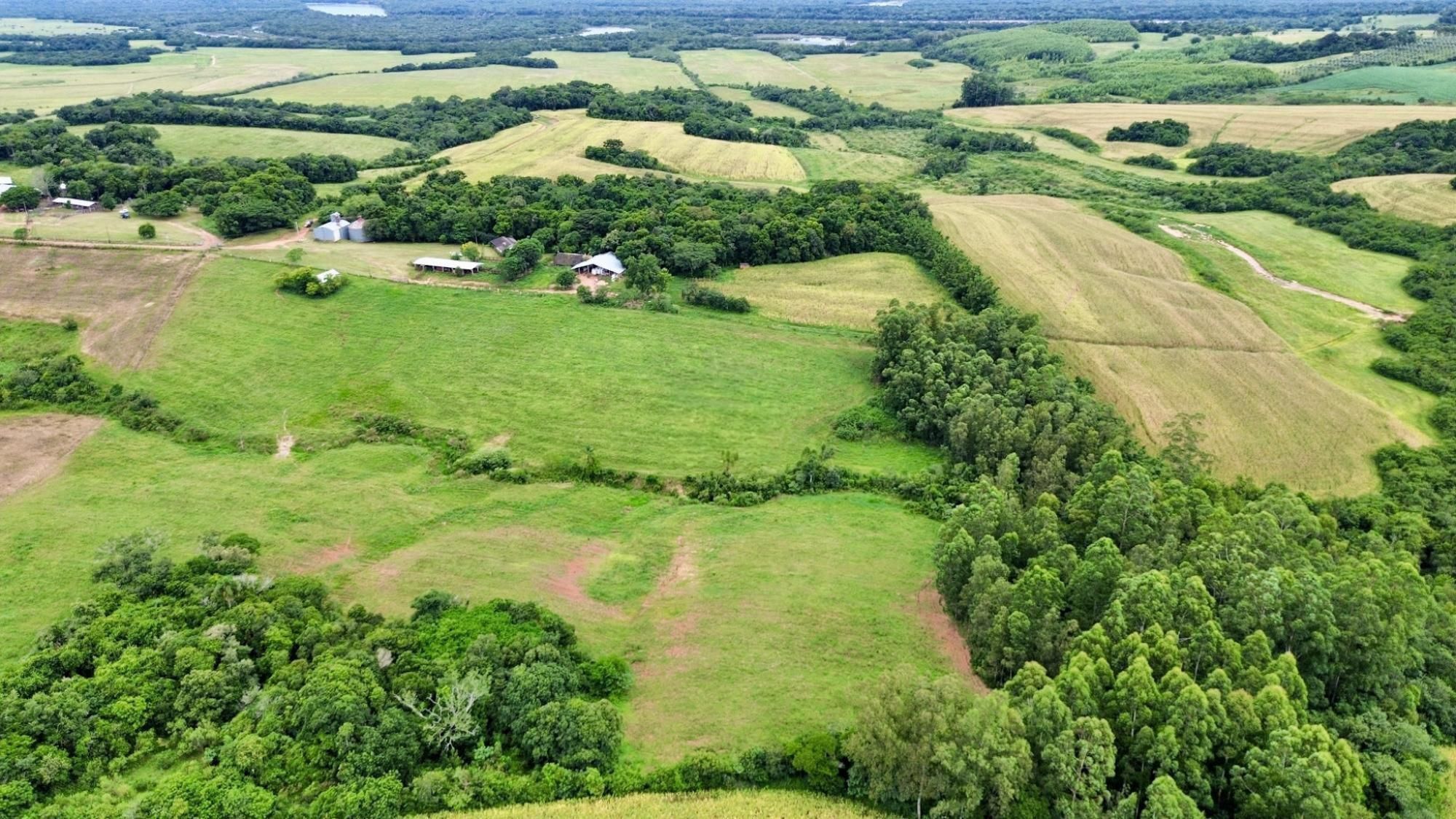 Fazenda à venda com 3 quartos, 500m² - Foto 2