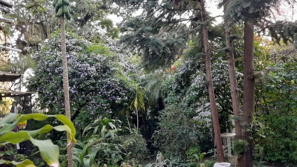 Casa, 6 quartos, 570 m² - Foto 7