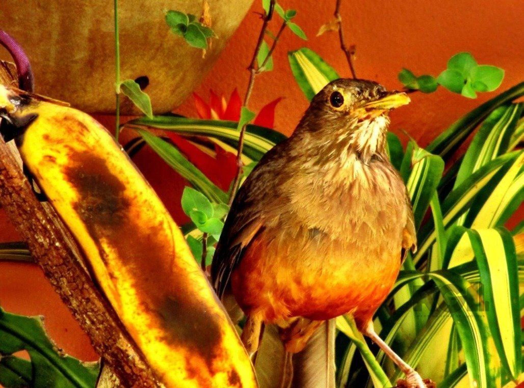 Apartamento, 2 quartos, 118 m² - Foto 28