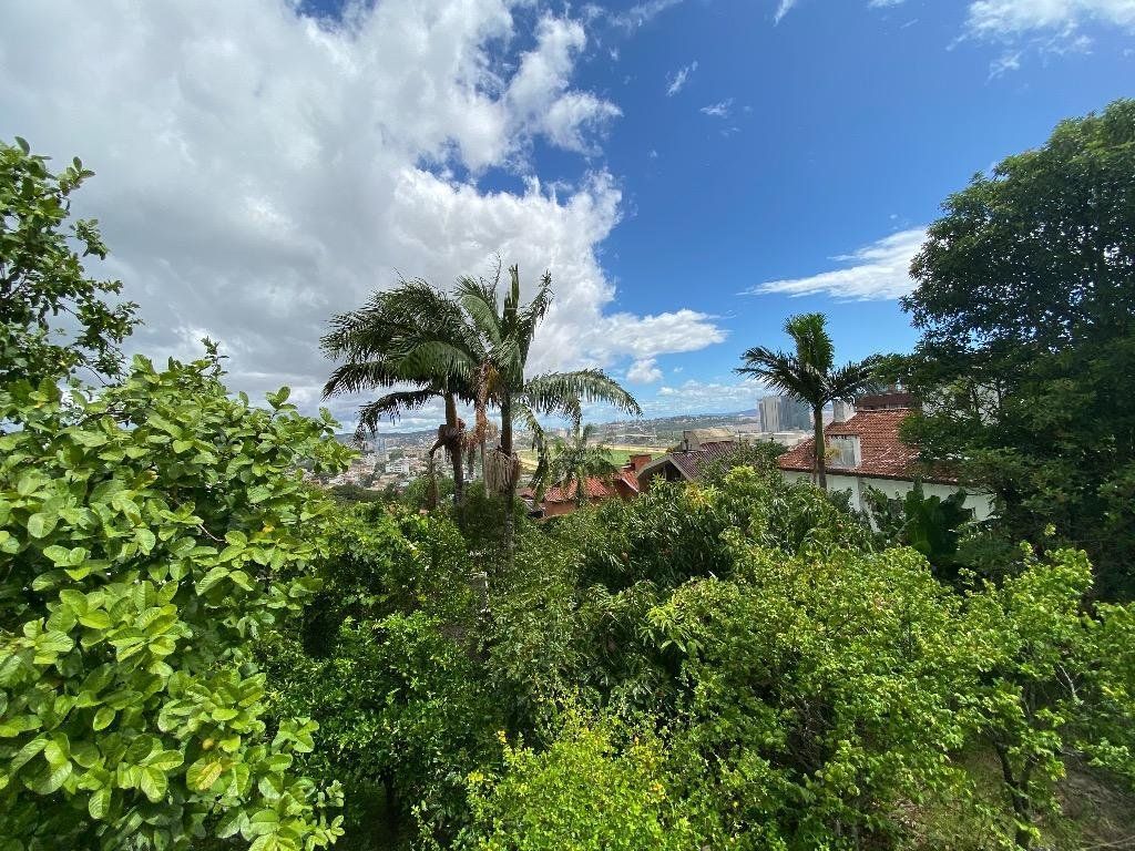 Casa, 3 quartos, 597 m² - Foto 42