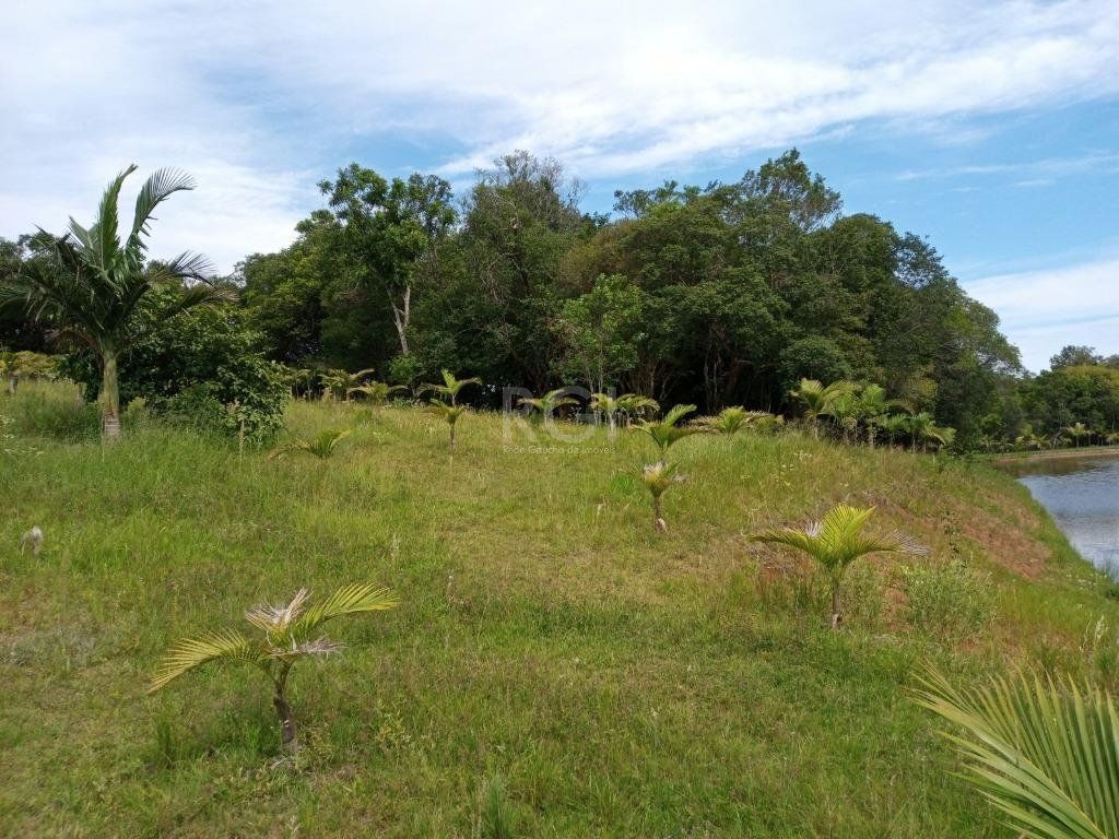 Sítio à venda com 14 quartos, 36841m² - Foto 10
