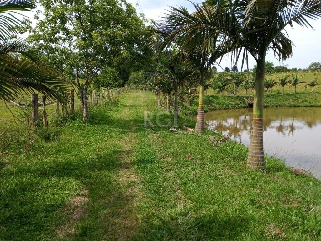 Sítio à venda com 14 quartos, 36841m² - Foto 5