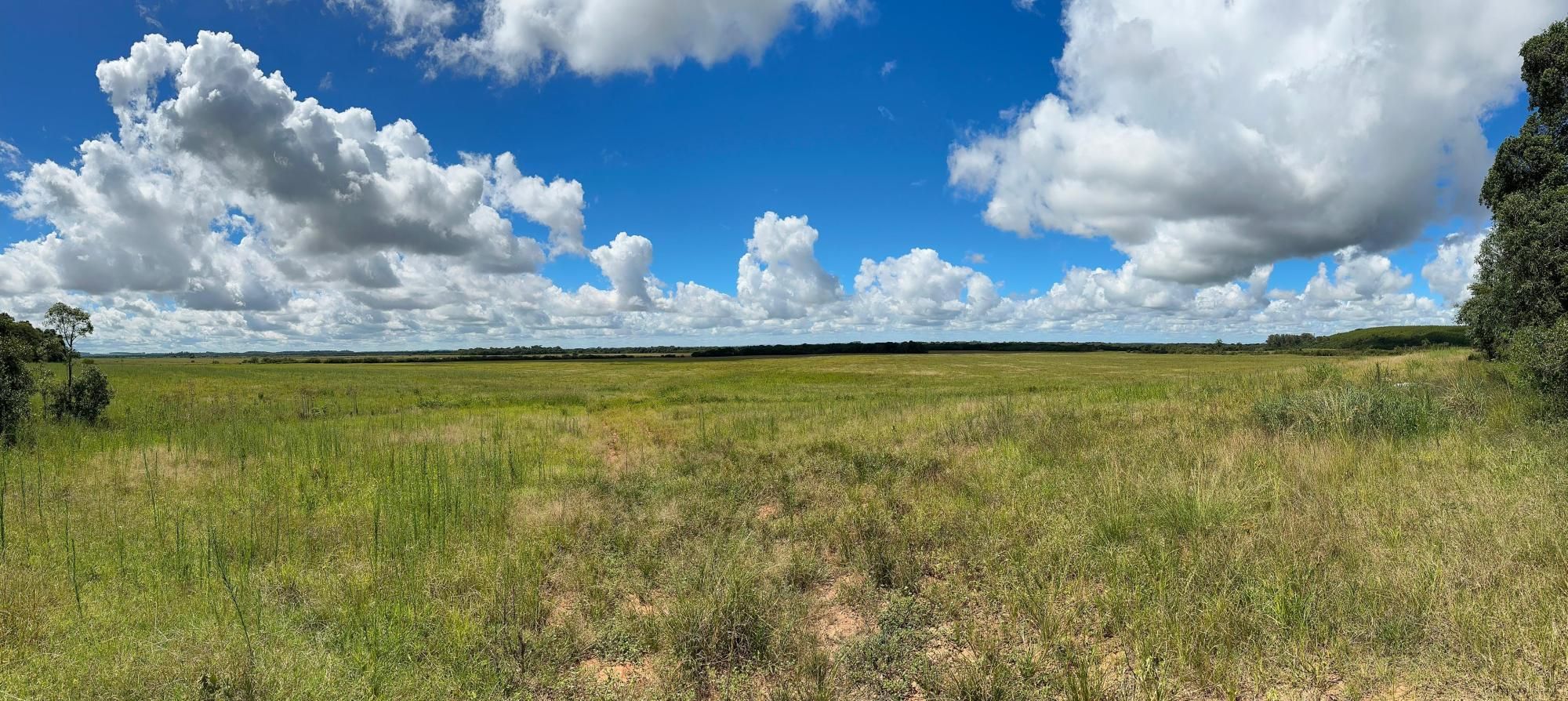 Fazenda à venda com 3 quartos, 500m² - Foto 35