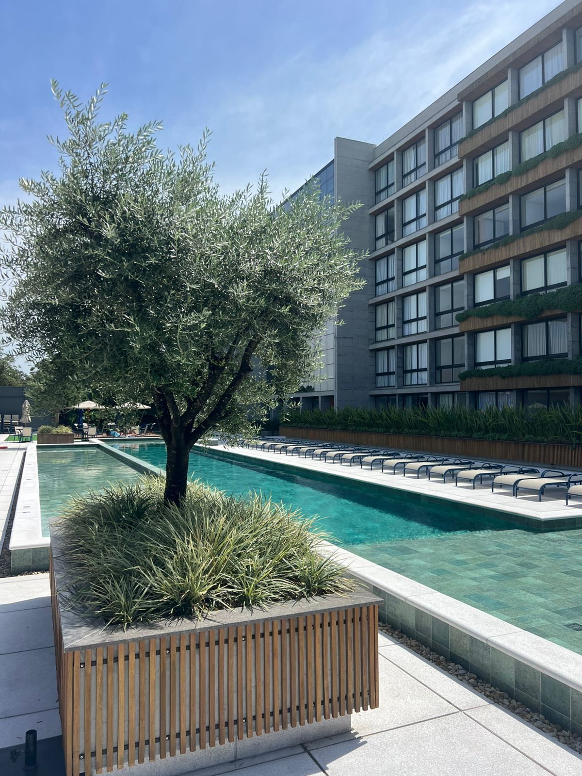 Apartamento à venda com 1 quarto, 26m² - Foto 3