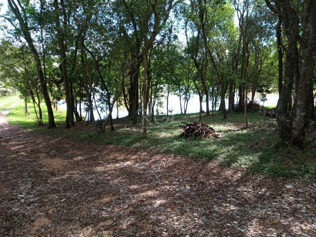 Sítio à venda com 14 quartos, 36841m² - Foto 33